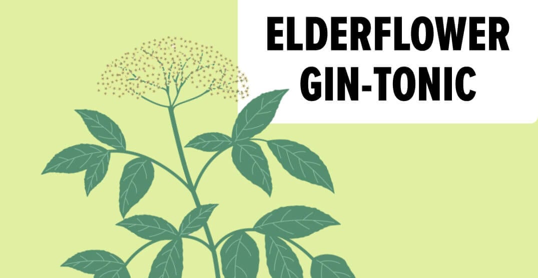 Elderflower gin-tonic
